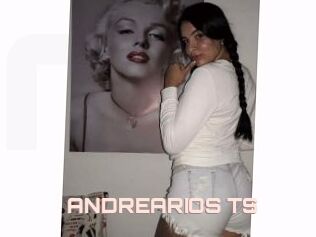 ANDREARIOS_TS