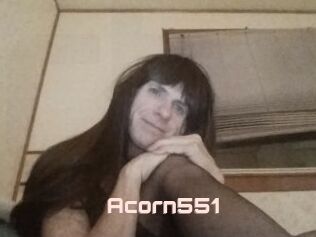 Acorn551