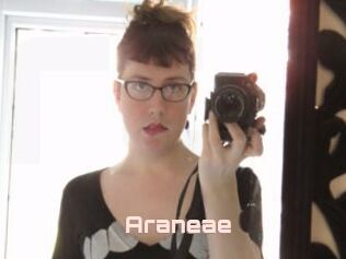 Araneae