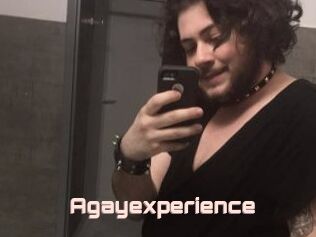 Agayexperience