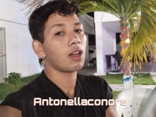 Antonellaconors