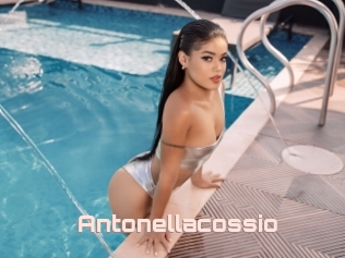 Antonellacossio