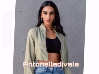 Antonelladivala