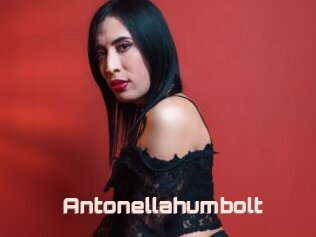Antonellahumbolt