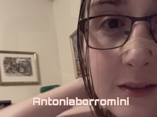 Antoniaborromini