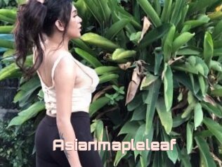 Asianmapleleaf