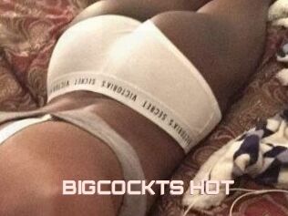 BIGCOCKTS_HOT