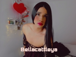 Bellacattleya