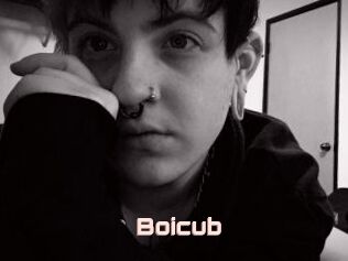 Boicub