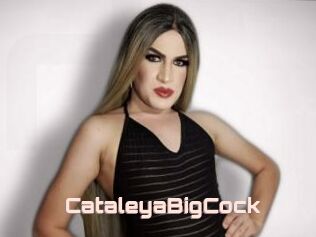 CataleyaBigCock