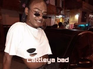 Cattleya_bad