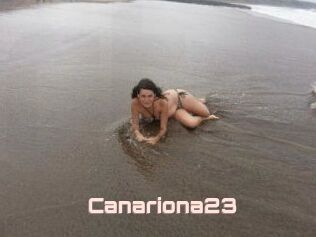 Canariona23