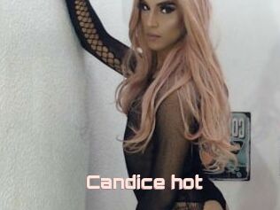 Candice_hot