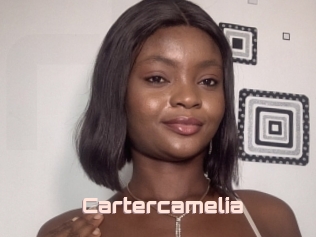Cartercamelia
