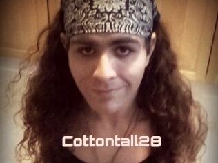 Cottontail28