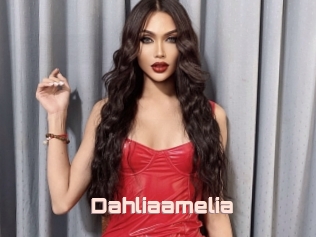 Dahliaamelia