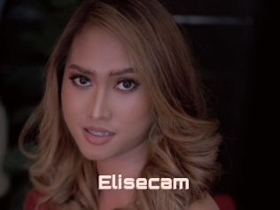 Elisecam