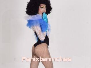 Fenixteninches