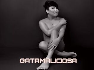 GATAMALICIOSA