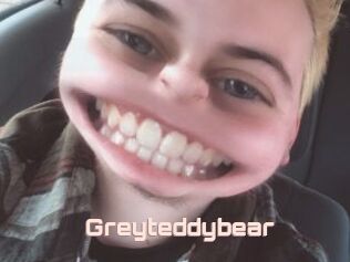 Greyteddybear