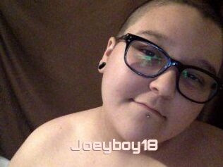 Joeyboy18