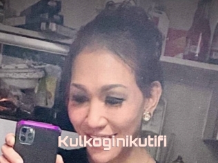 Kulkoginikutifi