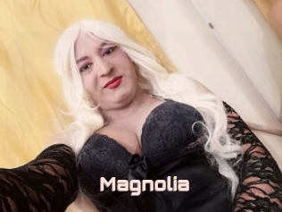 Magnolia