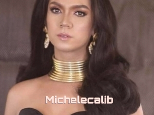 Michelecalib
