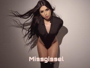 Missgissel