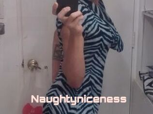Naughtyniceness
