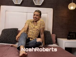 NoahRoberts
