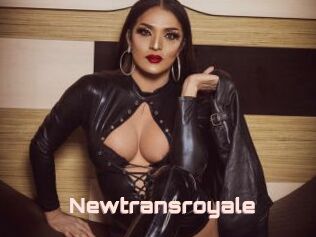 Newtransroyale