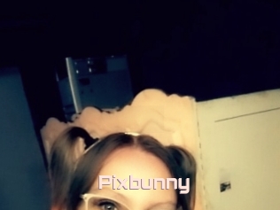 Pixbunny