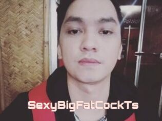 _SexyBigFatCockTs_