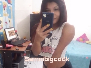 Sammbigcock