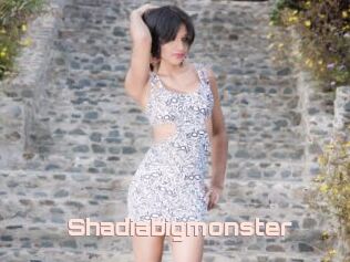 Shadiabigmonster