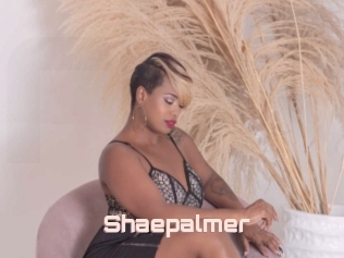 Shaepalmer
