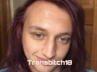 Transbitch18