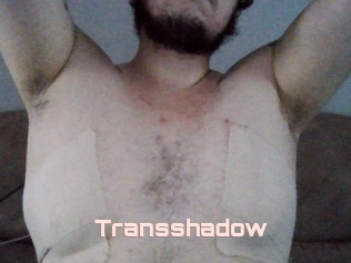 Transshadow