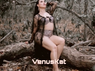 VenusKat