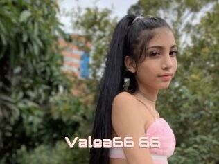 Valea66_66