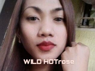 WILD_HOTrose