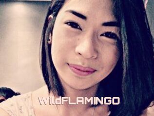 WildFLAMINGO