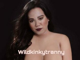 Wildkinkytranny