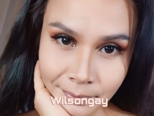 Wilsongay