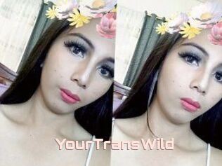YourTransWild